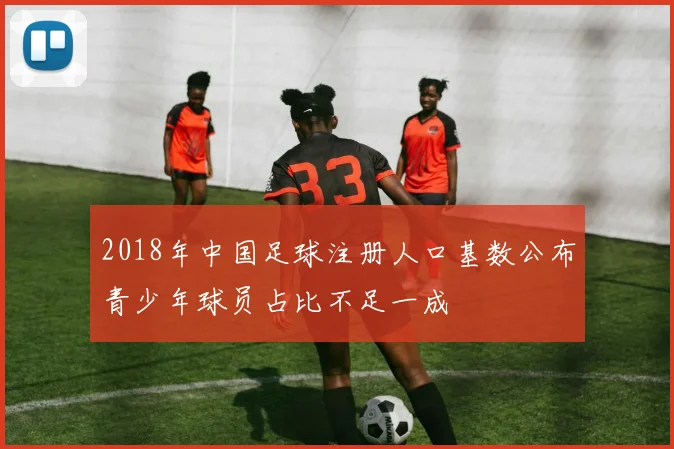 2018年中国足球注册人口基数公布青少年球员占比不足一成