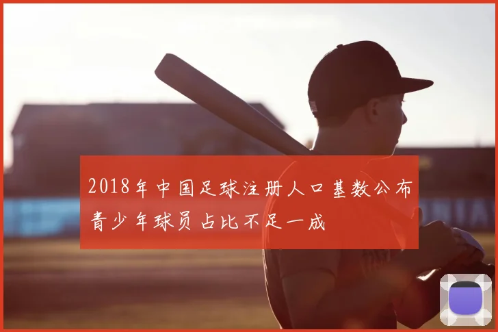 2018年中国足球注册人口基数公布青少年球员占比不足一成