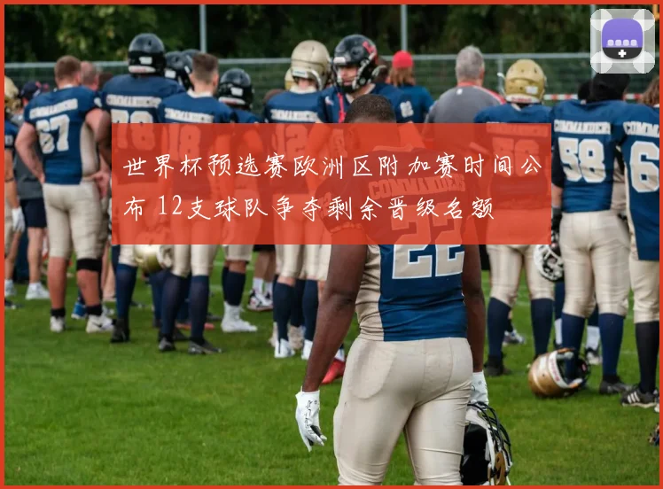 世界杯预选赛欧洲区附加赛时间公布 12支球队争夺剩余晋级名额