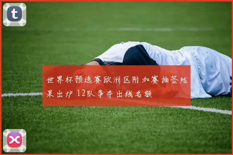 世界杯预选赛欧洲区附加赛抽签结果出炉 12队争夺出线名额