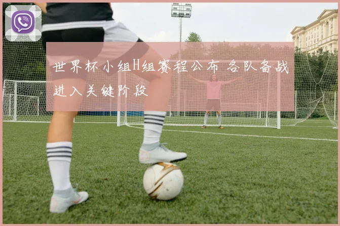 世界杯小组H组赛程公布 各队备战进入关键阶段