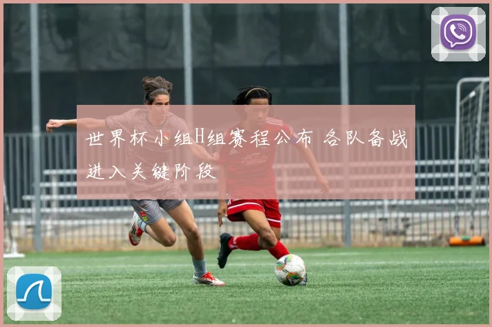 世界杯小组H组赛程公布 各队备战进入关键阶段